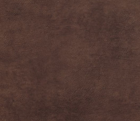 Обои BN International Curious (17922) виниловые на флизе 