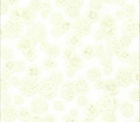 Обои York Ashford House Whites (SW7476)