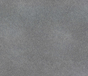 Обои Rasch Fiesta 973051