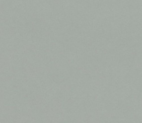 Обои Rasch Crispy Paper 527032